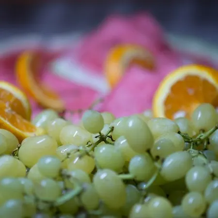 Meliton ホテル Theológos